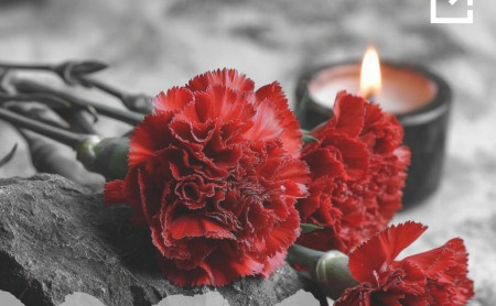 Жизнь Тулы и области