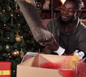 Нападающий «Арсенала» Эванс Кангва получил в подарок от Деда Мороза шипованные валенки
