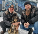 «Сыт и здоров, чешите!»: тульские байкеры рассказали о спасенной собаке