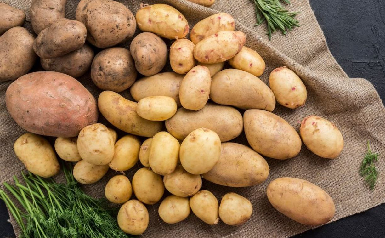 В Тульскую область с нарушениями ввезли 20 тонн белорусской картошки