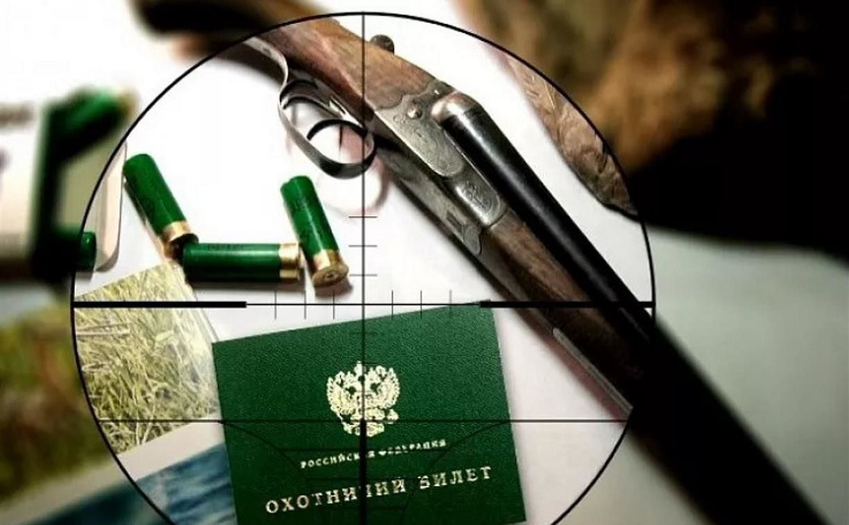 Семеро охотников из Киреевска заплатят по 50 тысяч рублей за убитую самку оленя 