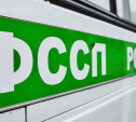 В России заработал реестр должников по алиментам 