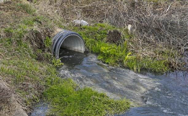 Экологическая катастрофа в Большой Туле: канализация со всего поселка сливается к жилым домам