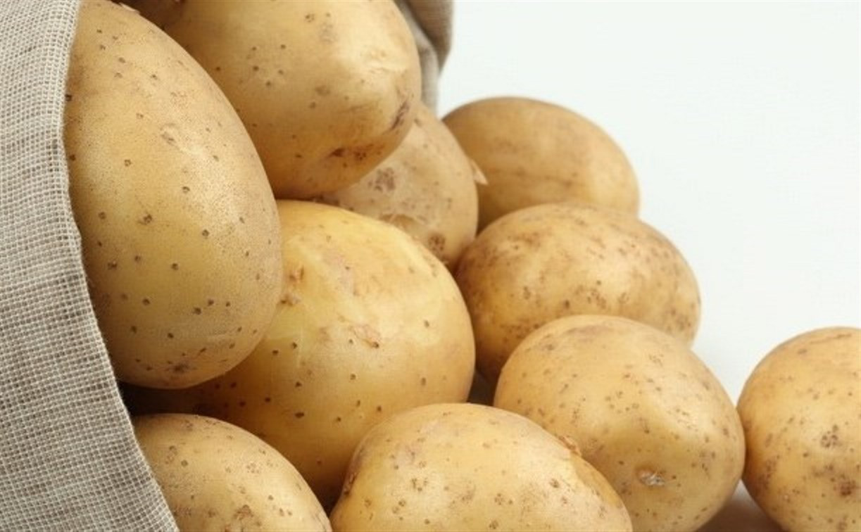 В Тульской области собрали 308 000 тонн картофеля
