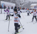 В Тульской области развиваются зимние виды спорта