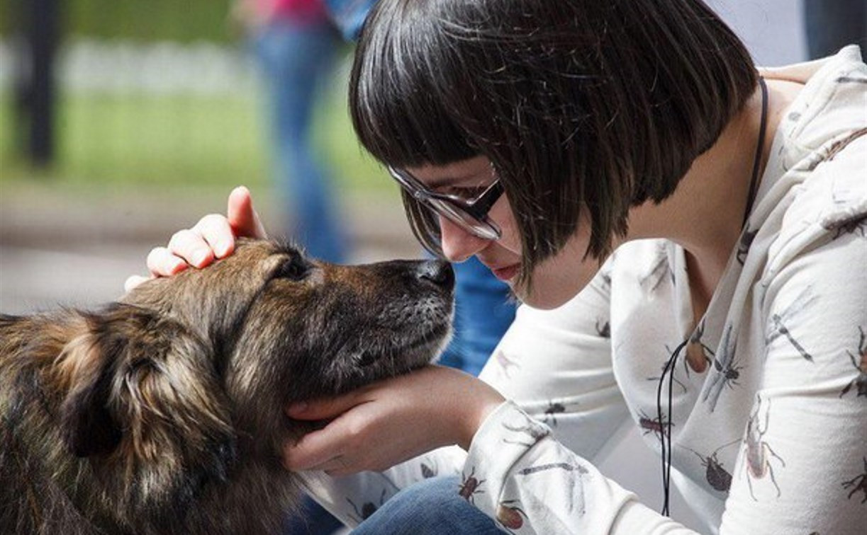 В Туле состоится благотворительный фестиваль помощи животным