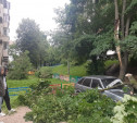 Кто виноват: на Приупской в Туле деревья упали на припаркованные автомобили