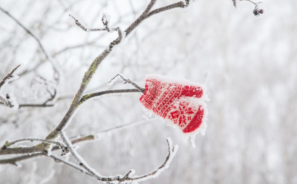 Погода в Туле 6 декабря: небольшой снег и до 11 градусов мороза