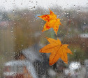 Погода в Туле 22 октября: тепло, облачно, небольшой дождь