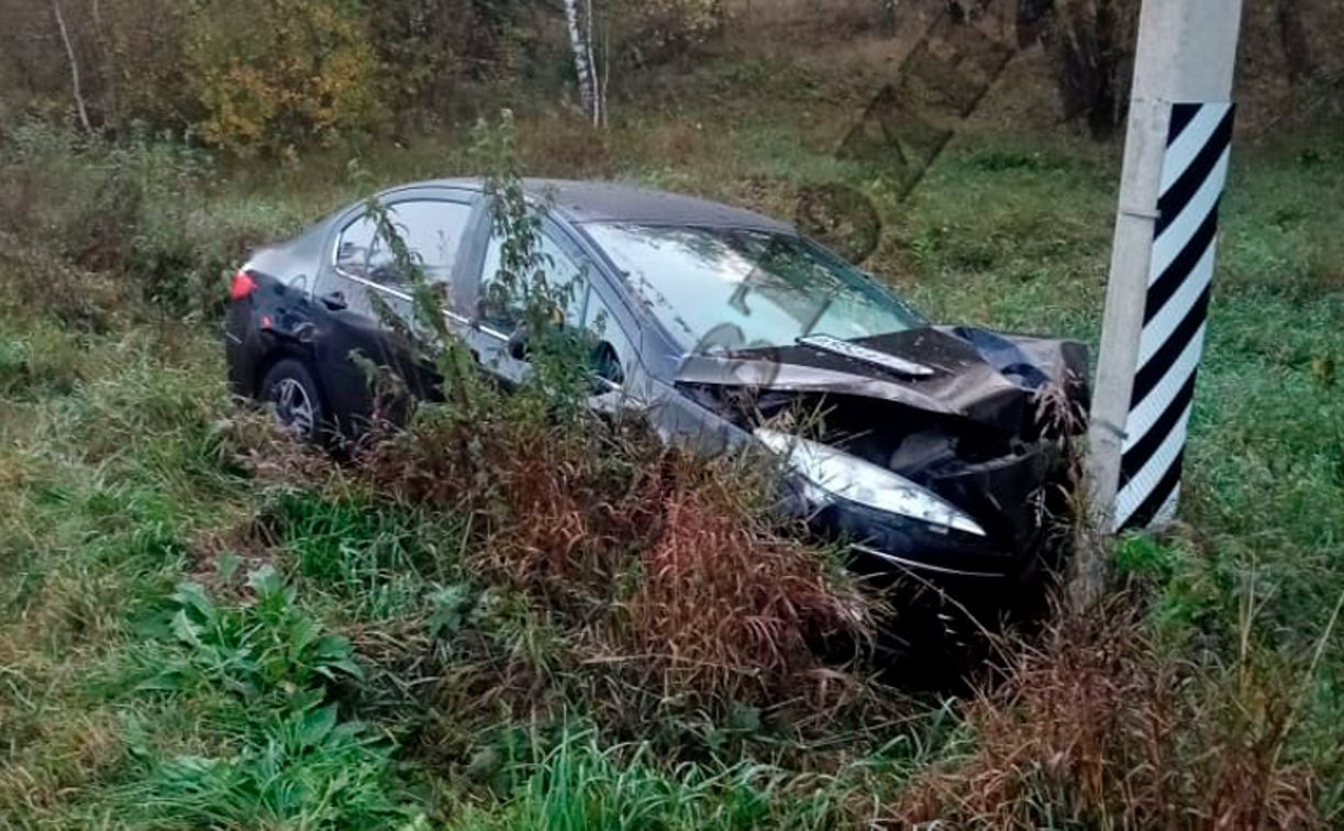 На трассе в Тульской области Peugeot вылетел в кювет и врезался в столб: водитель погиб