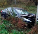 На трассе в Тульской области Peugeot вылетел в кювет и врезался в столб: водитель погиб