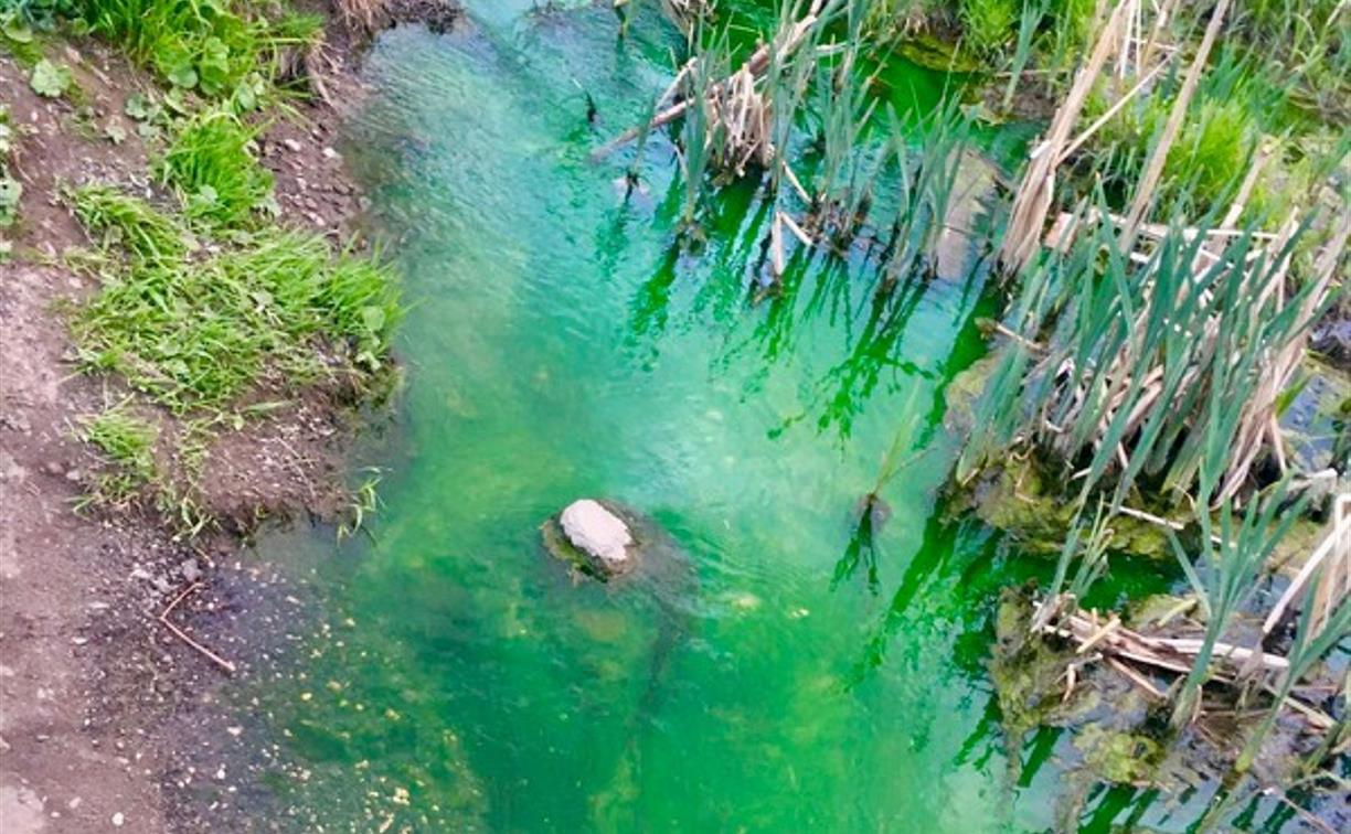 Почему Щегловский ручей в Туле стал кислотно-зеленым, выяснит минприроды