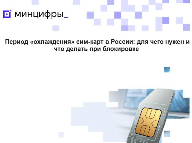 Как вернуть себе связь: 9 вопросов о «периоде охлаждения» при возвращении из-за границы