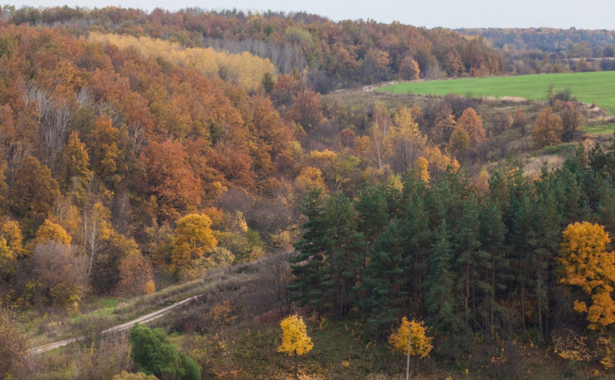 Дефицит осадков и аномальное тепло: синоптики дали прогноз на октябрь