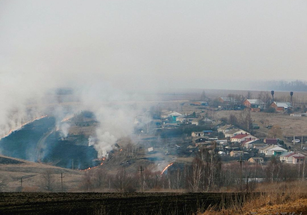 В Тульской области с начала года зафиксировали 82 случая горения сухой травы