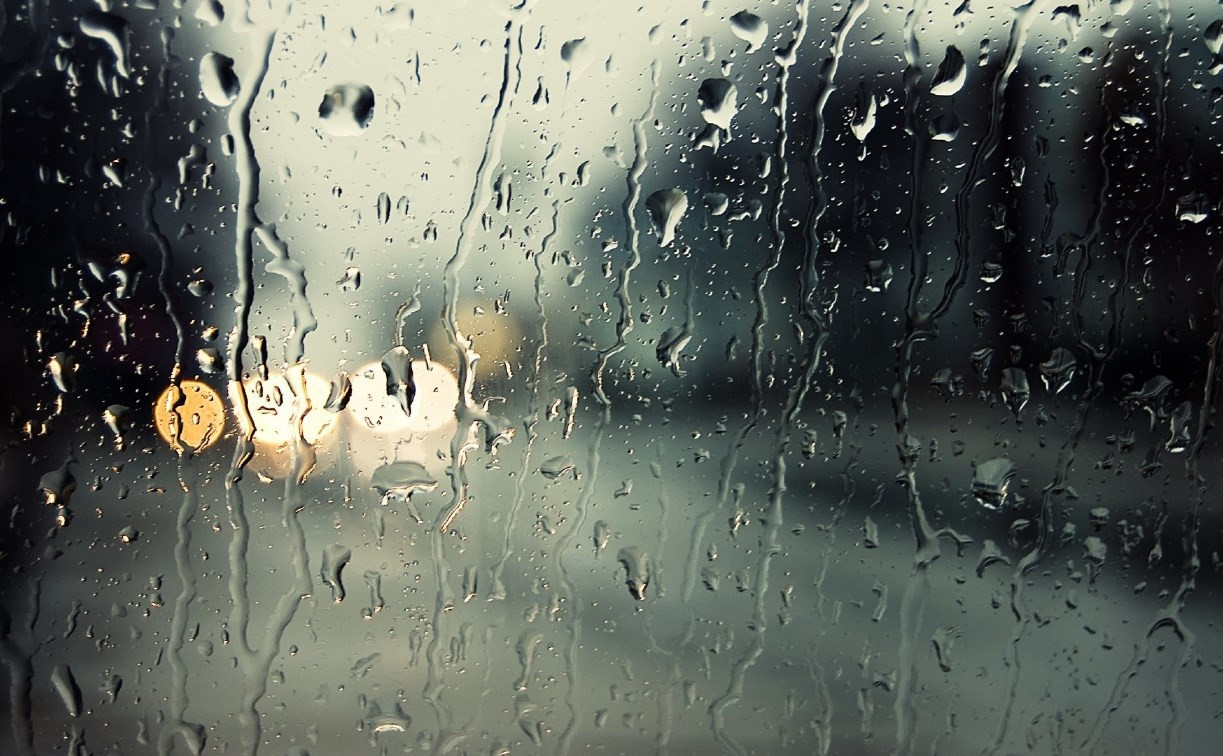 Погода в Туле 19 апреля: дождь, порывистый ветер и облачность