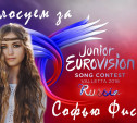 Поддержите Софью Фисенко из Новомосковска в отборочном туре на «Детское Евровидение» – 2016