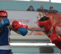 Боксеры Тульской области определили сильнейших в регионе