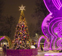 Болдинский сквер в Туле украсили к Новому году