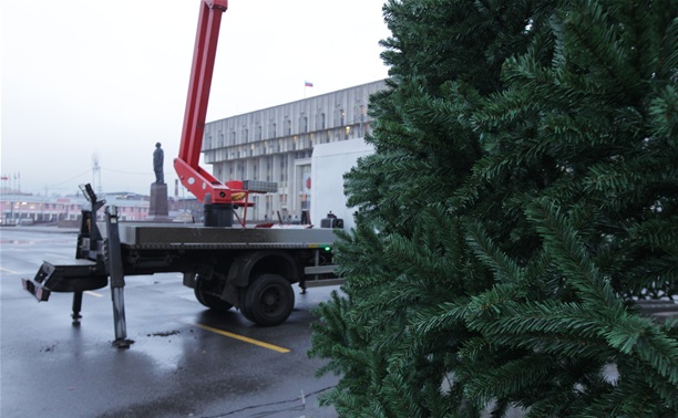 Новогодняя елка на главной площади Тулы будет готова к 1 декабря
