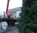 Новогодняя елка на главной площади Тулы будет готова к 1 декабря