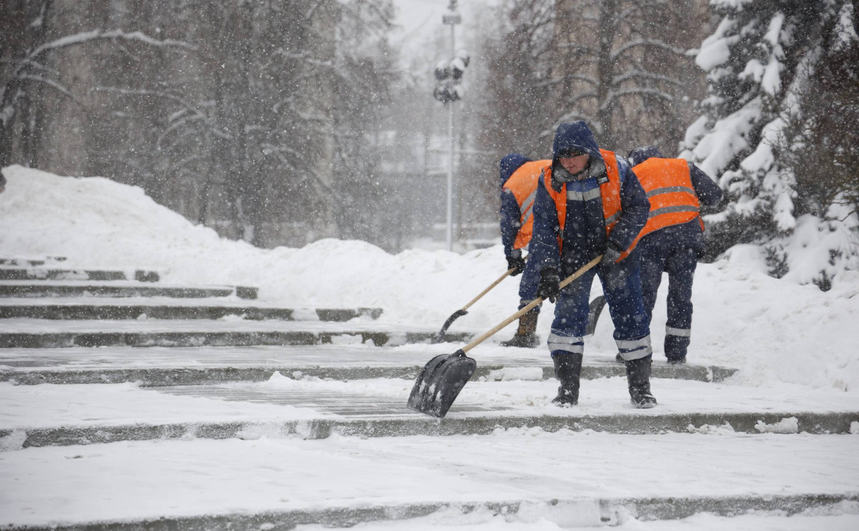 В ближайшие часы Тульскую область накроет сильный снег