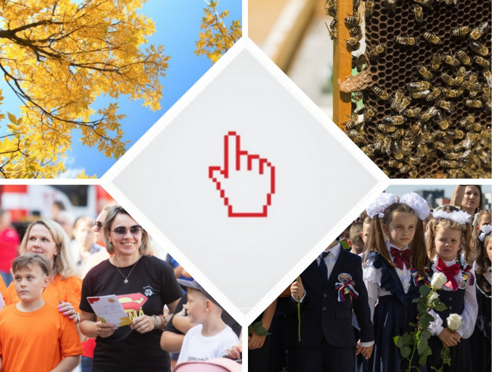 Открытие школ, победа «Арсенала», «Школодром» и горе-пасечник: топ новостей недели от Myslo