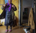 Читательница Myslo приютила оставшуюся без дома бабушку из Крапивны