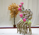 Грация, гибкость и красота: В Туле проходит турнир по художественной гимнастике «Осенний вальс»