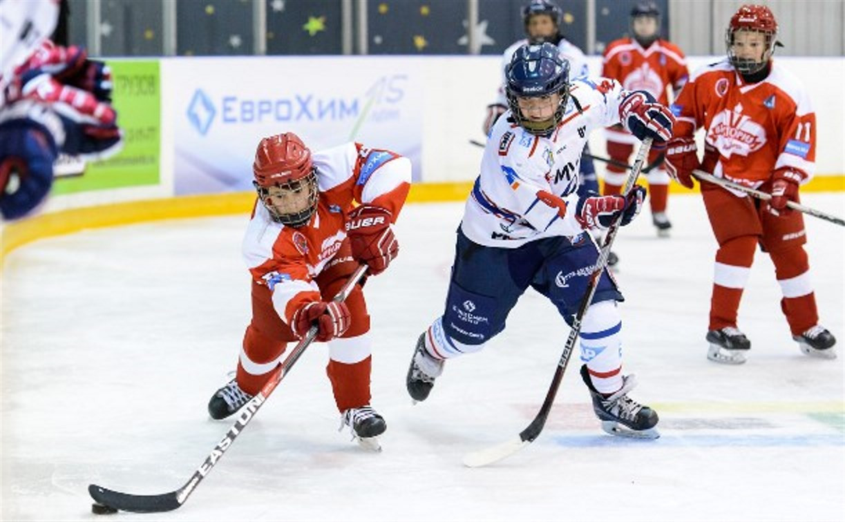 В Тульской области открывается Академия хоккея