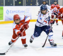 В Тульской области открывается Академия хоккея