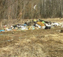 Поселок Славный в Тульской области зарастает мусором