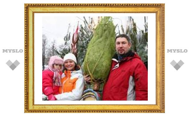 Где в Туле будут продавать елки