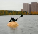 Тыква-гигант из Тулы стала средством для плавания: из нее сделали каяк и проплыли по Москве-реке 