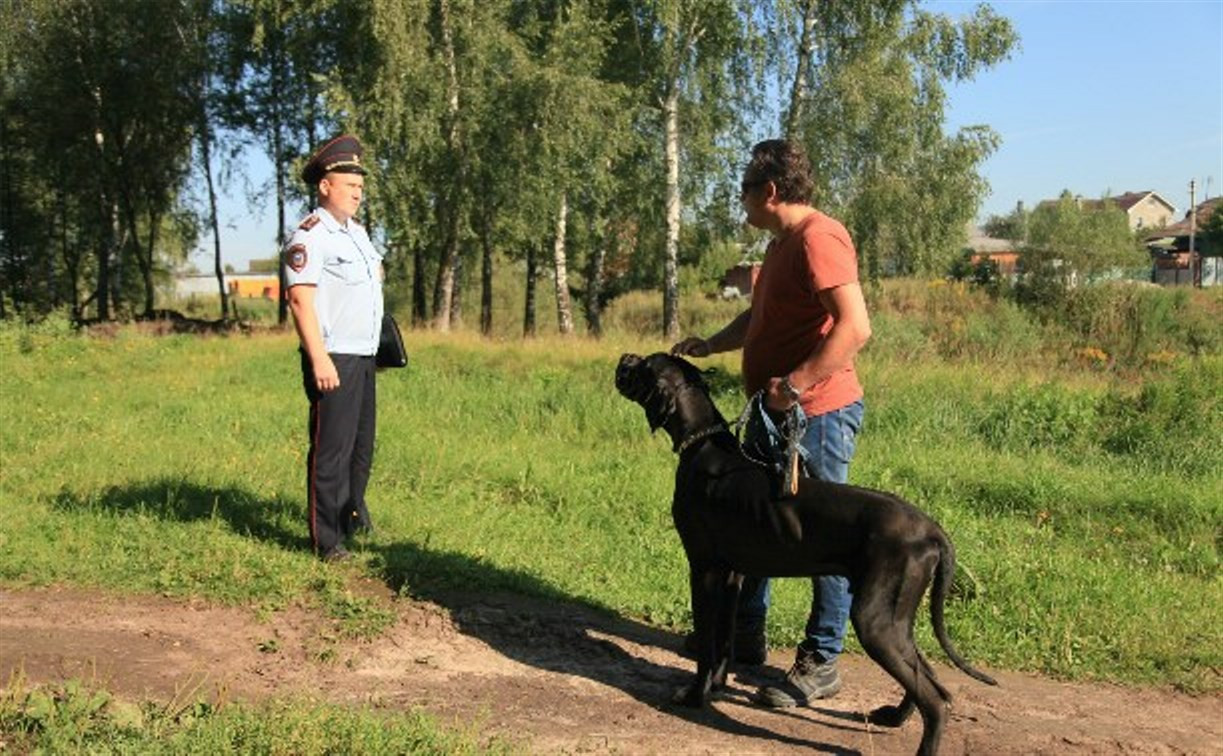 В Пролетарском парке прошёл рейд против незаконного выгула собак