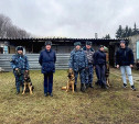 Тульские кинологи отправили щенков на службу в УФСИН в Рязанскую область