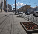 Туляки просят вернуть деревья на проспект Ленина