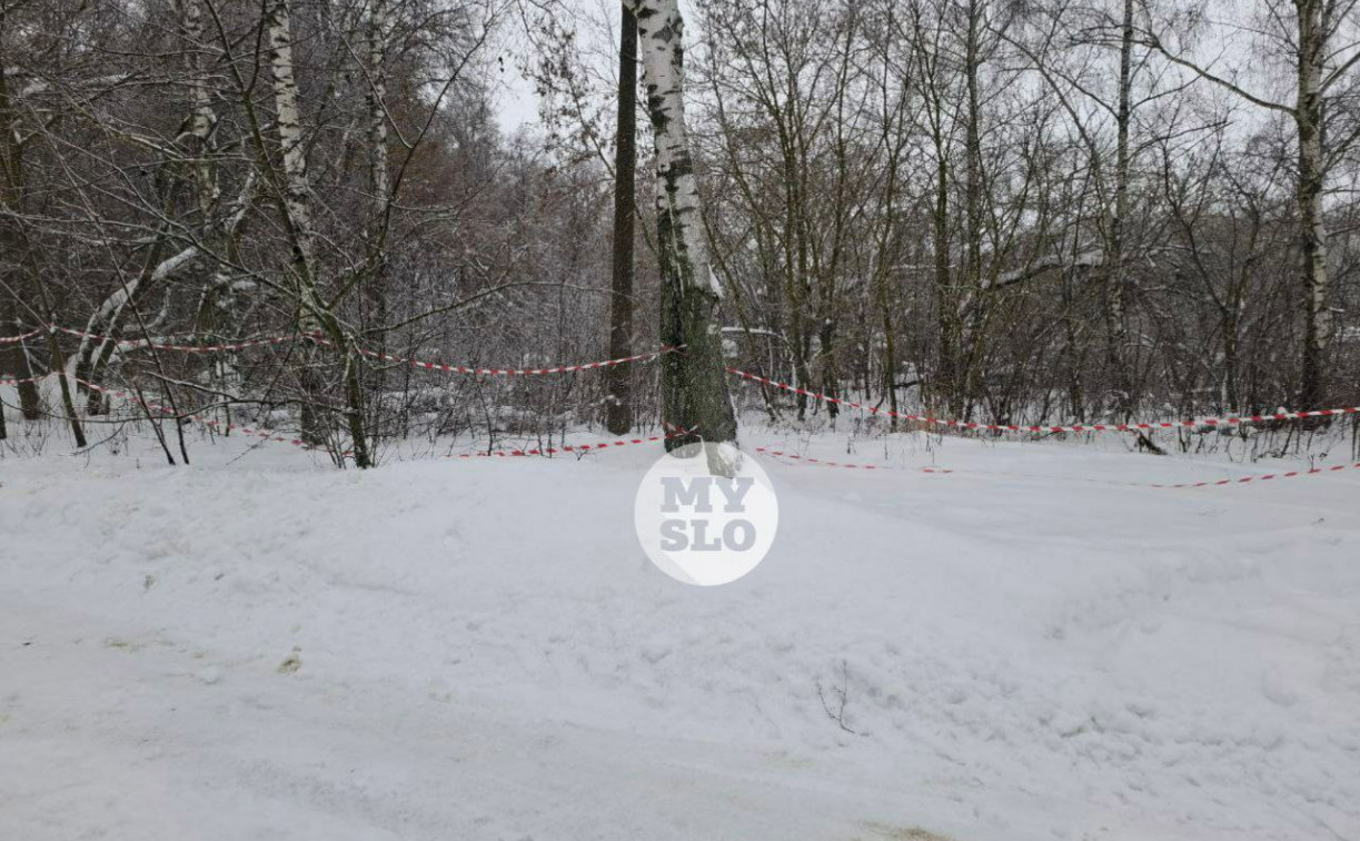 В парке Венева обнаружен источник радиации: физик объяснил, откуда мог взяться опасный объект