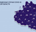 Самые зараженные коронавирусом города Тульской области: карта на 20 мая