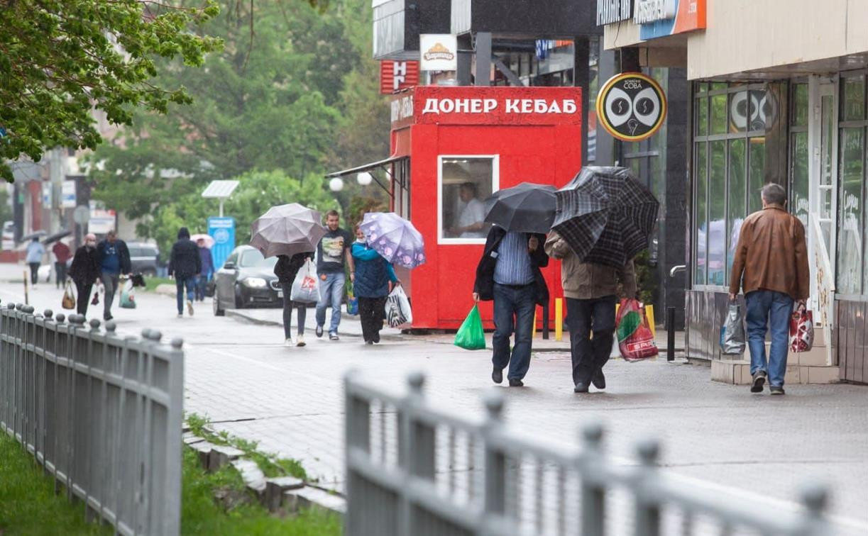 Выходные в Тульской области будут мокрыми, но теплыми