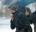 Погода в Туле 1 декабря: снег с дождём, гололед и порывистый ветер