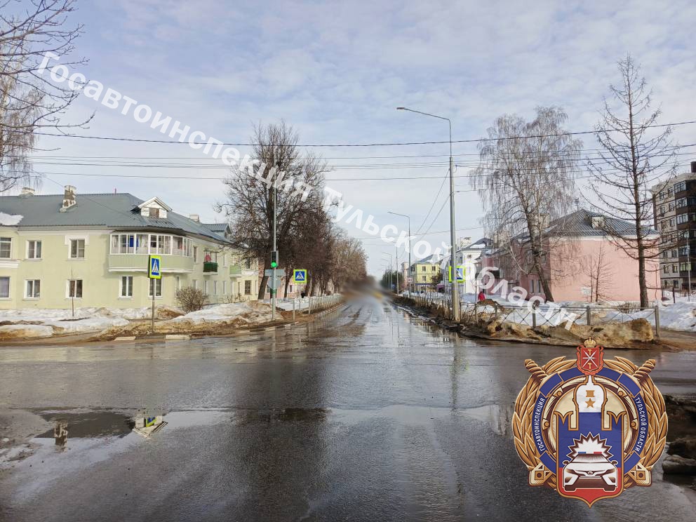 В Новомосковске водитель за рулем ГАЗа снес женщину на пешеходном переходе