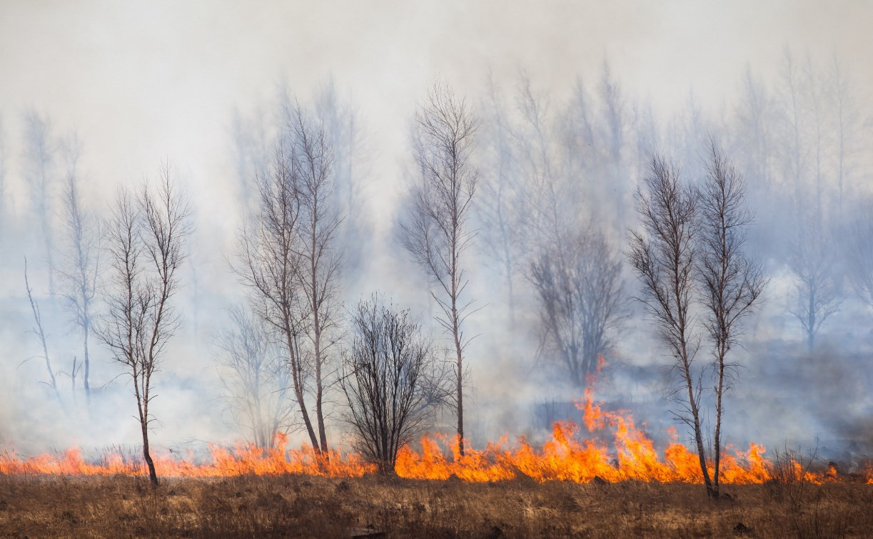 В Тульской области сохраняется высокая пожароопасность