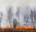 Особый противопожарный режим в Тульской области: штрафы для нарушителей выросли вдвое