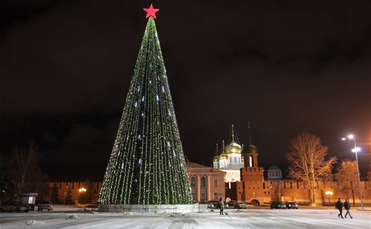 Тульская новогодняя ёлка будет стоить больше 7 млн рублей