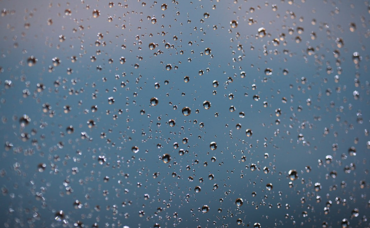 Туляков предупредили о ливне на трассе М-4 «Дон»