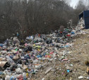 Под Тулой неподалеку от Зайцево опрокинулся прицеп с мусором