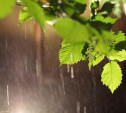 Погода в Туле 24 мая: тепло, кратковременный дождь