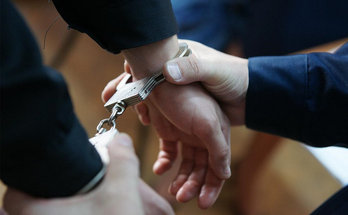 В Тульской области полицейские задержали серийных грабителей