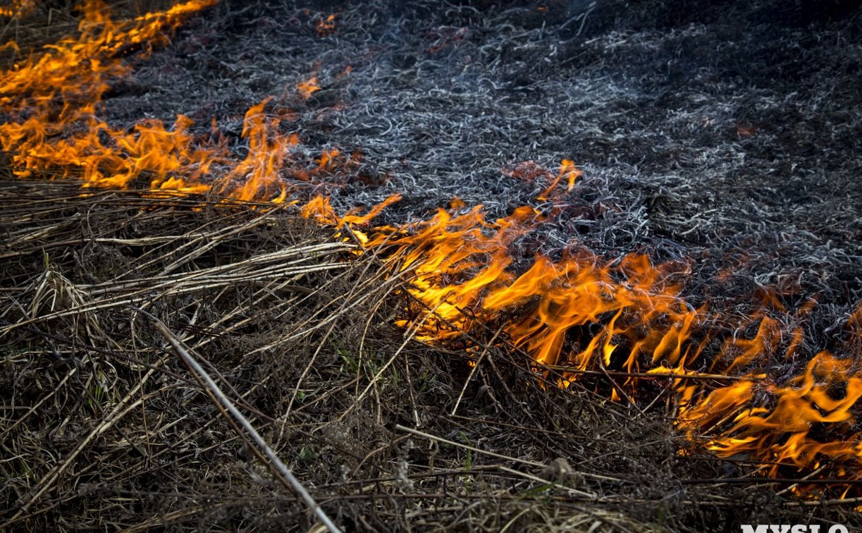 МЧС: в Тульской области ожидается высокий уровень пожароопасности